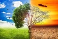Riflessioni sulle quattro stagioni. L'impatto dei cambiamenti climatici